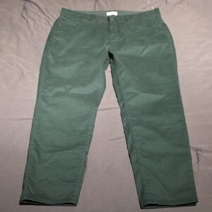 Curve Appeal Dark Green Chinos